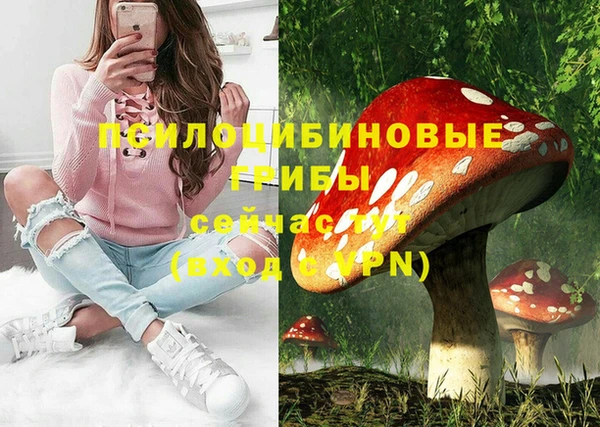 стафф Алзамай