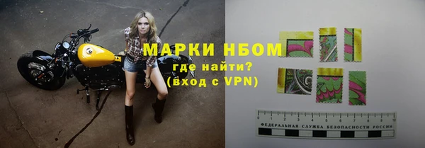 стафф Алзамай