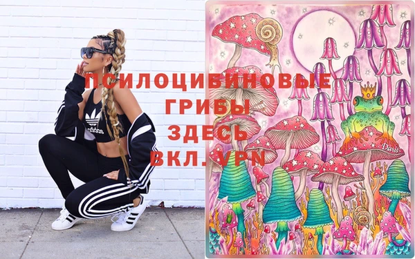 МДПВ Алексеевка