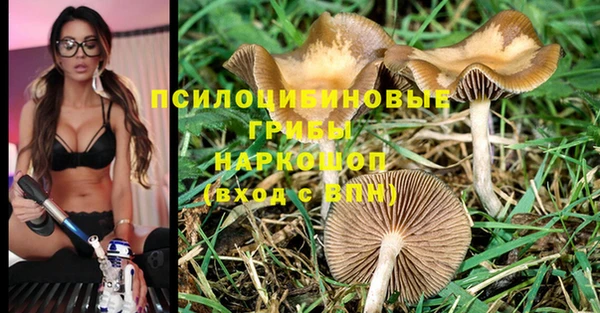 МДПВ Алексеевка