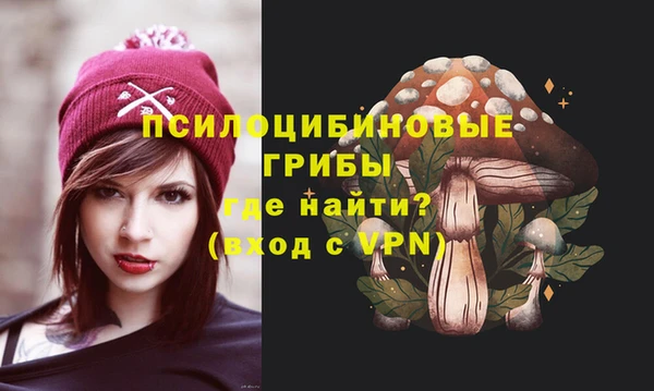 МДПВ Алексеевка