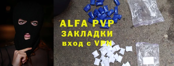 стафф Алзамай