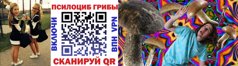 mega ТОР  Киселёвск  Псилоцибиновые грибы GOLDEN TEACHER  даркнет сайт 